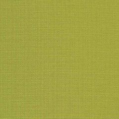 Premier Prints Dyed Greenery / Luxe Polyester Indoor-Outdoor Upholstery Fabric