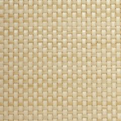 Winfield Thybony Paperweave WT WBG5113 Wall Covering