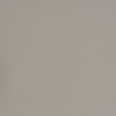 F Schumacher Vegan Leather  Stone 79554 Perfect Basics: Vegan Leather and Suede Collection Upholstery Fabric