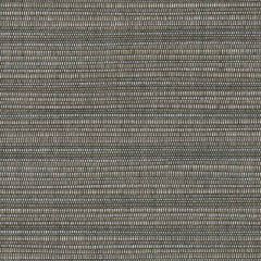 Perennials Snazzy Pumice 675-208 The Usual Suspects Collection Upholstery Fabric