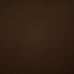 Aldeco Storm Fr Dark Chocolate A9 0008STOR Bloom Collection Contract Upholstery Fabric