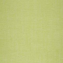 Robert Allen Dream Chenille Spring Grass 241145 Fine Chenilles Collection Indoor Upholstery Fabric