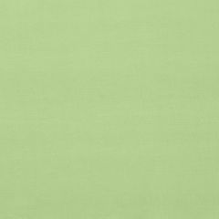 F Schumacher Gainsborough Velvet Mint 42855 Indoor Upholstery Fabric