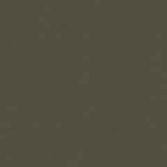 Lee Jofa Highland Graphite 2014141-86 Indoor Upholstery Fabric