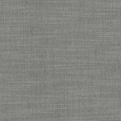Perennials Slubby Cement 655-180 No Hard Feelings Collection Upholstery Fabric