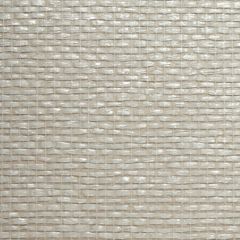 Winfield Thybony Paperweave WT WBG5140 Wall Covering