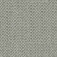 Kravet Sunbrella Grey 25807-1121 Guaranteed in Stock Upholstery Fabric