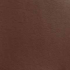 Kravet Design Brown Gato 6161 Indoor Upholstery Fabric