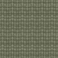 Kravet Nzuri Thunder 33862-1621 Tanzania Collection by J Banks Indoor Upholstery Fabric