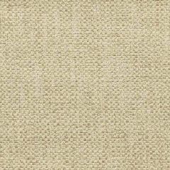 F. Schumacher Prato Weave Limestone 64630 Chroma Collection