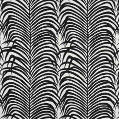 F Schumacher Zebra Palm Black 73173 Indoor / Outdoor Prints and Wovens Collection Upholstery Fabric