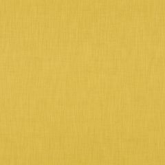 Robert Allen Linen Endure Sunray 256825 Durable Linens Collection Indoor Upholstery Fabric
