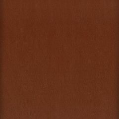 Stout Elbert Nutmeg 10 Leather Looks III Performance Collection Indoor Upholstery Fabric