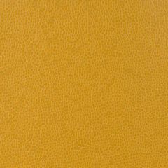 Kravet Design Orange Gillian 414 Indoor Upholstery Fabric