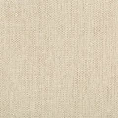 Kravet Contract 35407-111 Crypton Incase Collection Indoor Upholstery Fabric