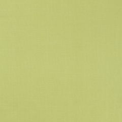 F. Schumacher Tiepolo Shantung Weave Limeade 63866 Mirage Collection