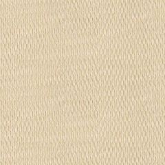 Kravet Basics Beige 4105-16 Drapery Fabric
