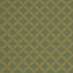 Robert Allen Contract Pin Wheel Aloe 176987 Indoor Upholstery Fabric