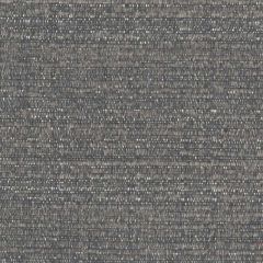 Perennials Crepe Du Jour Pumice 973-208 Camp Wannagetaway Collection Upholstery Fabric