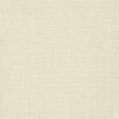 Robert Allen Contract Canvas Texture Raffia 242959 Faux Leather Collection Indoor Upholstery Fabric