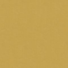 Kravet Beech Champagne 4179-416 by Candice Olson Drapery Fabric
