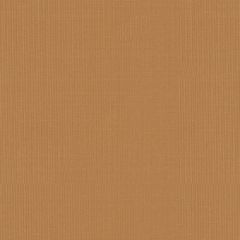 F Schumacher Sargent Silk Taffeta Honey 22662 Indoor Upholstery Fabric