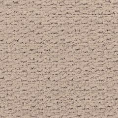 Lee Jofa Modern Dionysian Velvet Taupe GWF-3702-6 Prism Collection Indoor Upholstery Fabric