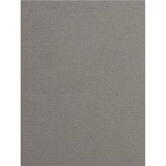 Kravet Kylin Grey 11 Indoor Upholstery Fabric