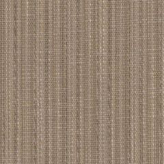 Perennials Stree-Yay! R-Mocha 942-425 Kidding Around Collection Upholstery Fabric