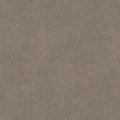 Kravet Design Grey 33125-1011 Indoor Upholstery Fabric