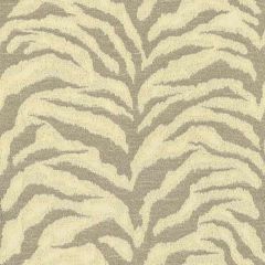 Kravet Congaree Pebble 34146-106 by Candice Olson Indoor Upholstery Fabric