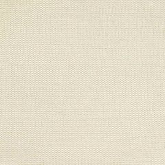 F. Schumacher Medina Weave Ivory 65761 Chroma Collection