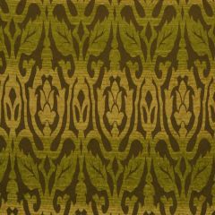 Robert Allen Contract Ombre Frame Cactus 216888 Indoor Upholstery Fabric