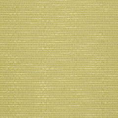 Robert Allen Primotex Bk Zest 239672 Indoor Upholstery Fabric