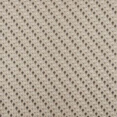 F Schumacher Avodica Embroidery Moonstone 70212 Contemporary Embroideries Collection Indoor Upholstery Fabric