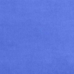 Kravet Versailles Blue E25745 Indoor Upholstery Fabric