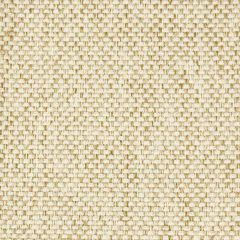 Stout Palisade Toast 6 Performance Solids by Crypton Home Collection Indoor Upholstery Fabric