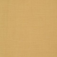Robert Allen Happy Hour Gold Leaf 247107 Ribbed Textures Collection Indoor Upholstery Fabric
