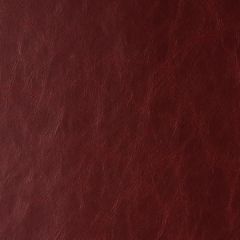 Kravet Design Randwick Marooned 924 Performance Sta-Kleen Collection Indoor Upholstery Fabric