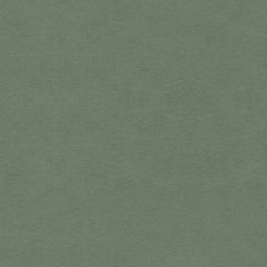 Kravet Ultrasuede Green Balsam 30787-323 Indoor Upholstery Fabric