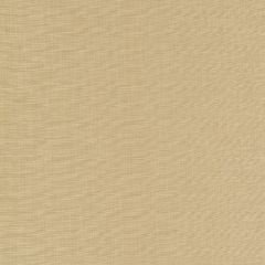 Robert Allen Posh Linen Sandstone Linen Basket Weaves Collection Indoor Upholstery Fabric