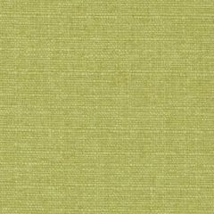 Duralee Wasabi 32823-609 Decor Fabric