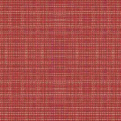 Kravet Contract Delancy Berry 34112-19 Crypton Incase Collection Indoor Upholstery Fabric
