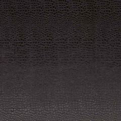 Clarke and Clarke Pulse Jet F0469-09 Tempo Collection Upholstery Fabric