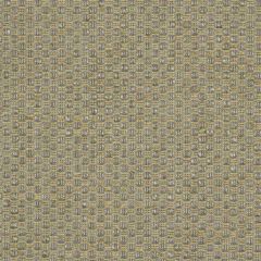 Robert Allen Subscript Sterling 173305 Indoor Upholstery Fabric