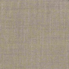 ABBEYSHEA Medley 61 Vanilla Indoor Upholstery Fabric