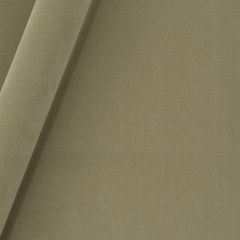 Robert Allen Forever Velvet Brindle 245460 Durable Velvets Collection Indoor Upholstery Fabric