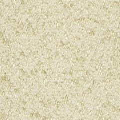 Beacon Hill Echo Boucle-Honey 241418 Decor Upholstery Fabric