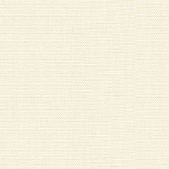 Kravet Basics White 30299-1 Perfect Plains Collection Multipurpose Fabric