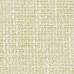 Robert Allen Tex Weave Sand 174497 Indoor Upholstery Fabric